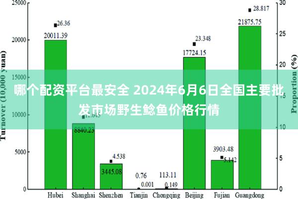 哪个配资平台最安全 2024年6月6日全国主要批发市场野生鲶鱼价格行情