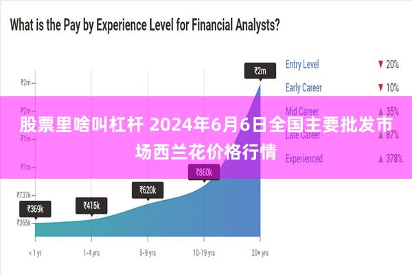 股票里啥叫杠杆 2024年6月6日全国主要批发市场西兰花价格行情