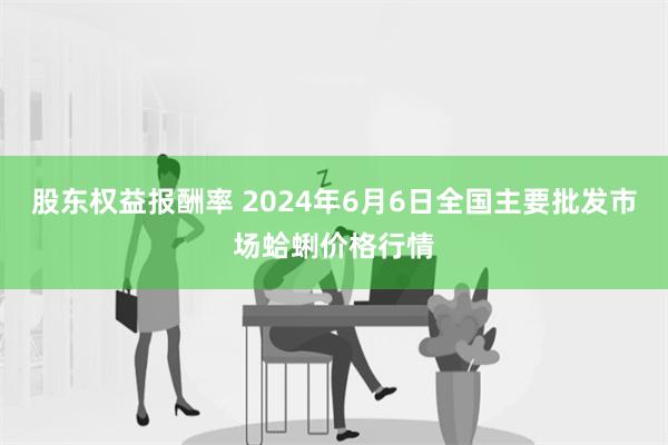 股东权益报酬率 2024年6月6日全国主要批发市场蛤蜊价格行情