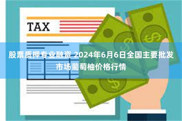 股票质押专业融资 2024年6月6日全国主要批发市场葡萄柚价格行情