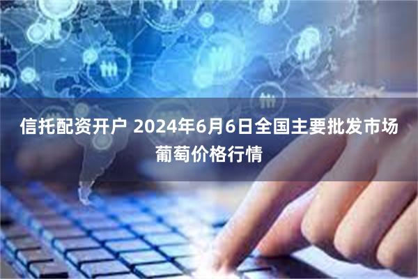 信托配资开户 2024年6月6日全国主要批发市场葡萄价格行情