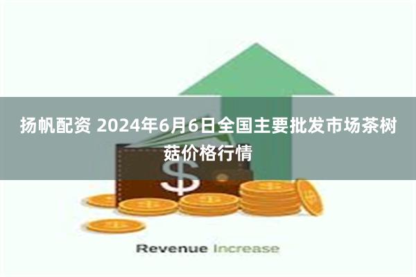 扬帆配资 2024年6月6日全国主要批发市场茶树菇价格行情