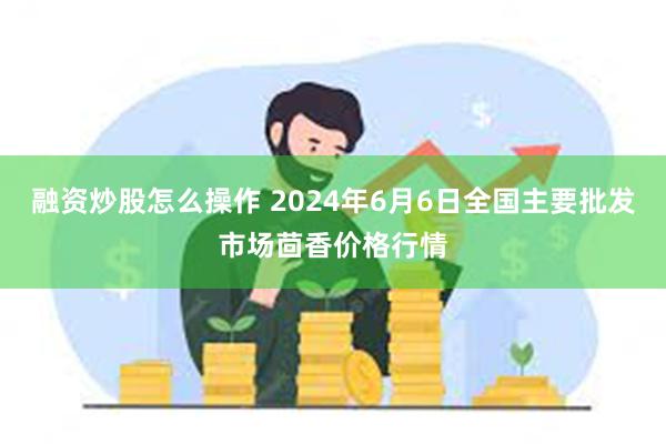 融资炒股怎么操作 2024年6月6日全国主要批发市场茴香价格行情