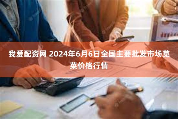 我爱配资网 2024年6月6日全国主要批发市场苋菜价格行情