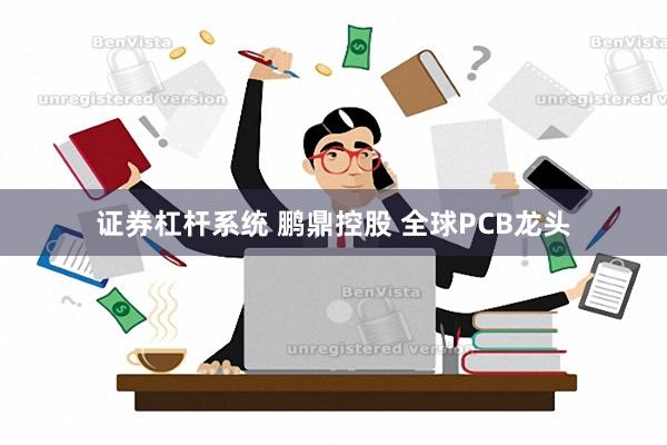 证券杠杆系统 鹏鼎控股 全球PCB龙头