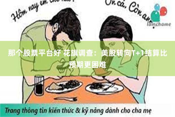 那个股票平台好 花旗调查：美股转向T+1结算比预期更困难