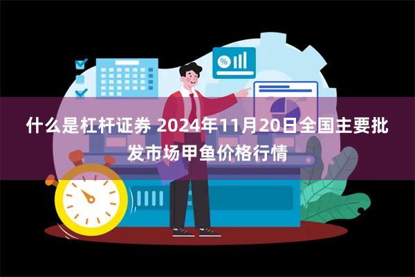 什么是杠杆证券 2024年11月20日全国主要批发市场甲鱼价格行情