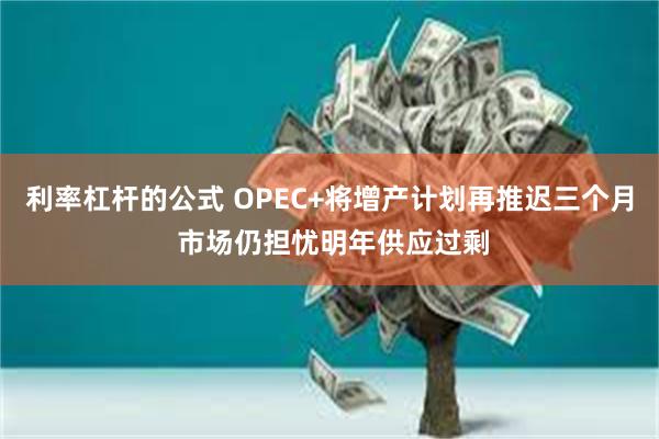 利率杠杆的公式 OPEC+将增产计划再推迟三个月 市场仍担忧明年供应过剩