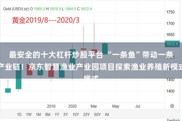 最安全的十大杠杆炒股平台 “一条鱼”带动一条产业链！京东智慧渔业产业园项目探索渔业养殖新模式