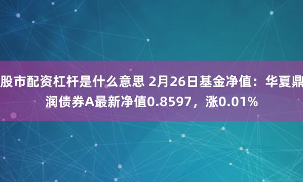 股市配资杠杆是什么意思 2月26日基金净值：华夏鼎润债券A最新净值0.8597，涨0.01%