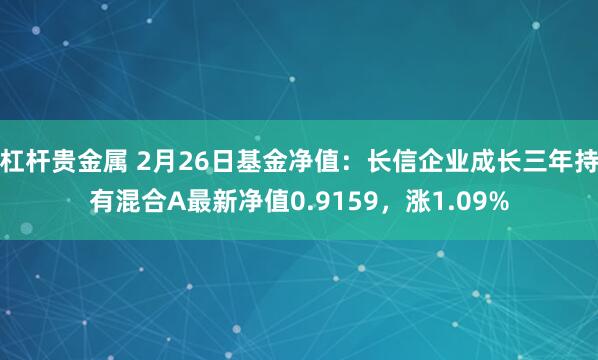 杠杆贵金属 2月26日基金净值：长信企业成长三年持有混合A最新净值0.9159，涨1.09%