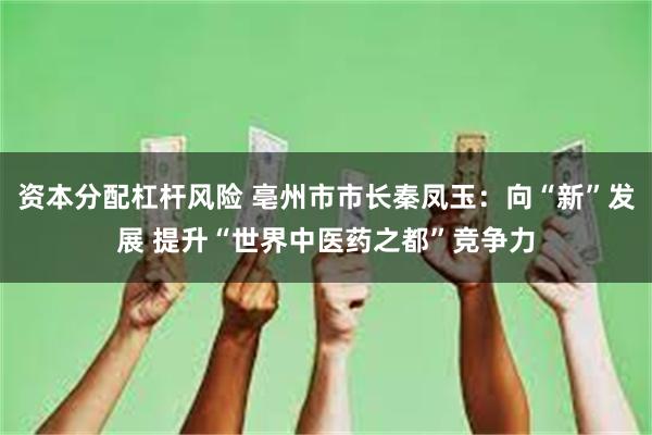 资本分配杠杆风险 亳州市市长秦凤玉：向“新”发展 提升“世界中医药之都”竞争力